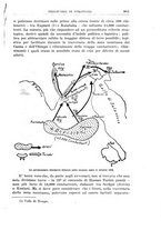 giornale/TO00201926/1913/unico/00001017