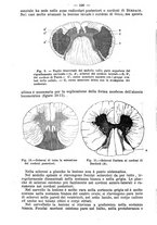 giornale/TO00201998/1883/unico/00000210