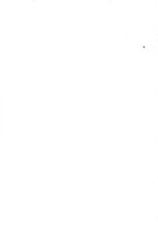 giornale/TO00202401/1907/unico/00000002