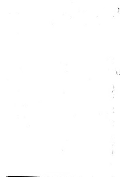 Statistica del commercio speciale di importazione e di esportazione