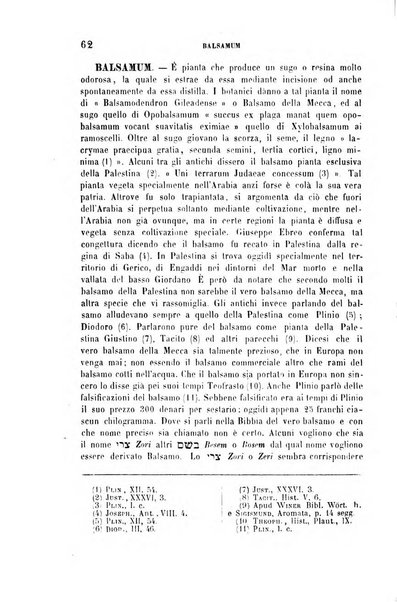 Archivio di letteratura biblica ed orientale contribuzioni mensili allo studio della Sacra Scrittura e dei principali tra i monumenti dell'antico oriente