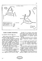 giornale/TO00203833/1943/unico/00000027