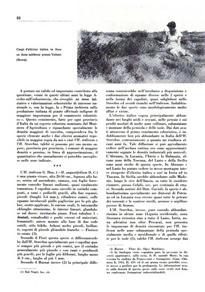 Rivista italiana delle essenze, dei profumi e delle piante officinali organo di propaganda del gruppo produttori materie aromatiche della Federazione nazionale fascista industrie chimiche ed affini