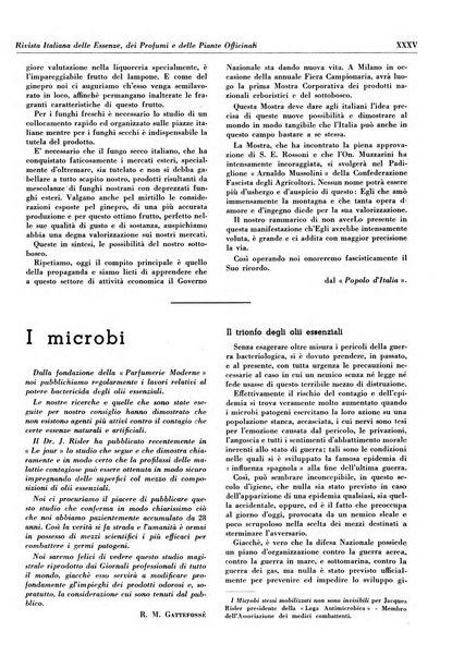 Rivista italiana delle essenze, dei profumi e delle piante officinali organo di propaganda del gruppo produttori materie aromatiche della Federazione nazionale fascista industrie chimiche ed affini