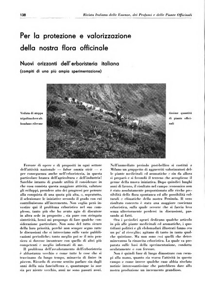 Rivista italiana delle essenze, dei profumi e delle piante officinali organo di propaganda del gruppo produttori materie aromatiche della Federazione nazionale fascista industrie chimiche ed affini