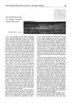 giornale/TO00204604/1935/v.1/00000293