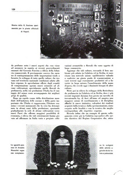 Rivista italiana delle essenze, dei profumi e delle piante officinali organo di propaganda del gruppo produttori materie aromatiche della Federazione nazionale fascista industrie chimiche ed affini