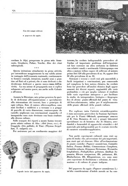 Rivista italiana delle essenze, dei profumi e delle piante officinali organo di propaganda del gruppo produttori materie aromatiche della Federazione nazionale fascista industrie chimiche ed affini