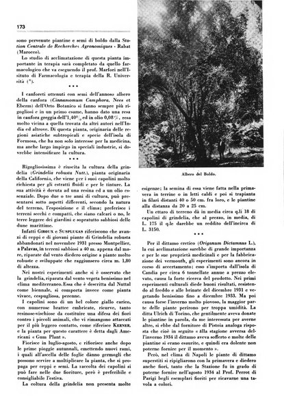 Rivista italiana delle essenze, dei profumi e delle piante officinali organo di propaganda del gruppo produttori materie aromatiche della Federazione nazionale fascista industrie chimiche ed affini