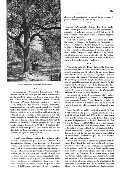 Rivista italiana delle essenze, dei profumi e delle piante officinali organo di propaganda del gruppo produttori materie aromatiche della Federazione nazionale fascista industrie chimiche ed affini