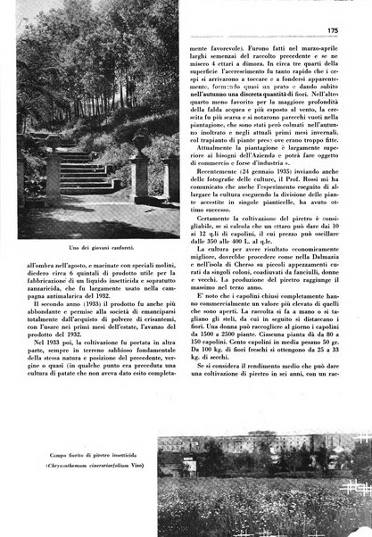 Rivista italiana delle essenze, dei profumi e delle piante officinali organo di propaganda del gruppo produttori materie aromatiche della Federazione nazionale fascista industrie chimiche ed affini