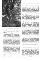 giornale/TO00204604/1935/v.1/00000382