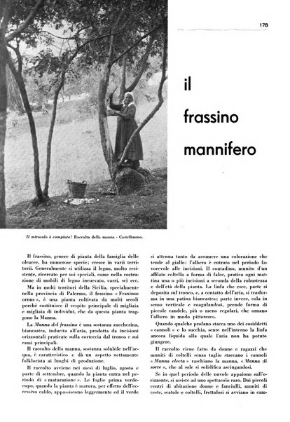 Rivista italiana delle essenze, dei profumi e delle piante officinali organo di propaganda del gruppo produttori materie aromatiche della Federazione nazionale fascista industrie chimiche ed affini