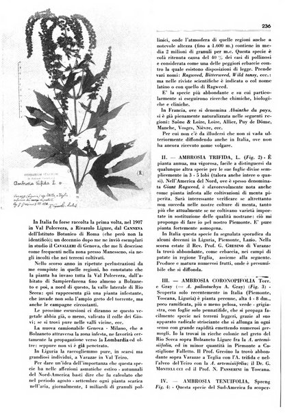 Rivista italiana delle essenze, dei profumi e delle piante officinali organo di propaganda del gruppo produttori materie aromatiche della Federazione nazionale fascista industrie chimiche ed affini