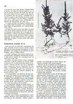 giornale/TO00204604/1935/v.2/00000121