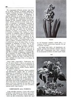 giornale/TO00204604/1935/v.2/00000225