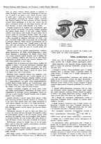 giornale/TO00204604/1935/v.2/00000379