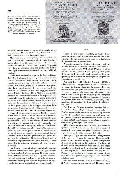 Rivista italiana delle essenze, dei profumi e delle piante officinali organo di propaganda del gruppo produttori materie aromatiche della Federazione nazionale fascista industrie chimiche ed affini