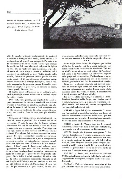 Rivista italiana delle essenze, dei profumi e delle piante officinali organo di propaganda del gruppo produttori materie aromatiche della Federazione nazionale fascista industrie chimiche ed affini