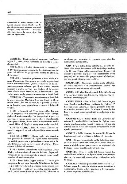 Rivista italiana delle essenze, dei profumi e delle piante officinali organo di propaganda del gruppo produttori materie aromatiche della Federazione nazionale fascista industrie chimiche ed affini