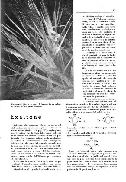 Rivista italiana delle essenze, dei profumi e delle piante officinali organo di propaganda del gruppo produttori materie aromatiche della Federazione nazionale fascista industrie chimiche ed affini