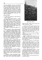 giornale/TO00204604/1936/v.1/00000302