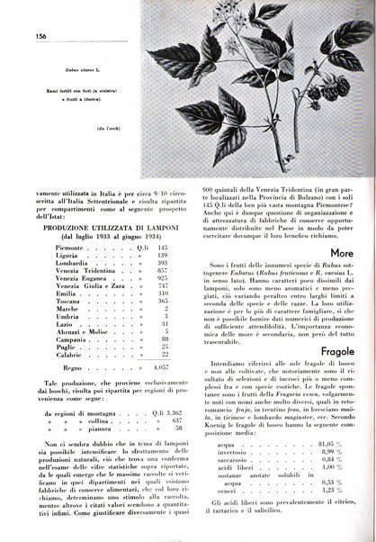 Rivista italiana delle essenze, dei profumi e delle piante officinali organo di propaganda del gruppo produttori materie aromatiche della Federazione nazionale fascista industrie chimiche ed affini