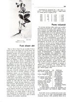 giornale/TO00204604/1936/v.2/00000036