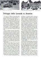 giornale/TO00204604/1936/v.2/00000039