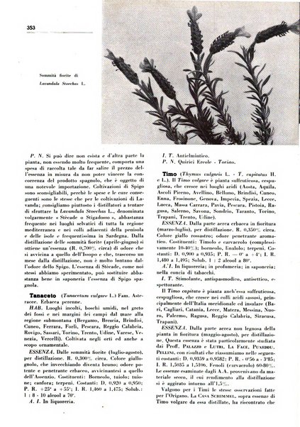 Rivista italiana delle essenze, dei profumi e delle piante officinali organo di propaganda del gruppo produttori materie aromatiche della Federazione nazionale fascista industrie chimiche ed affini