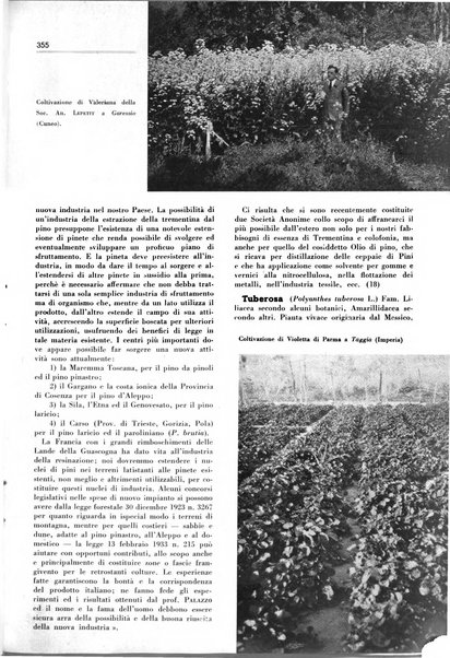 Rivista italiana delle essenze, dei profumi e delle piante officinali organo di propaganda del gruppo produttori materie aromatiche della Federazione nazionale fascista industrie chimiche ed affini