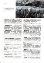 giornale/TO00204604/1936/v.2/00000457