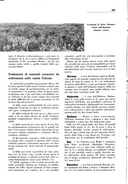 Rivista italiana delle essenze, dei profumi e delle piante officinali organo di propaganda del gruppo produttori materie aromatiche della Federazione nazionale fascista industrie chimiche ed affini