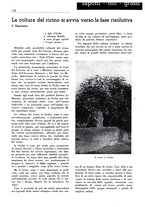 giornale/TO00204604/1938/unico/00000127