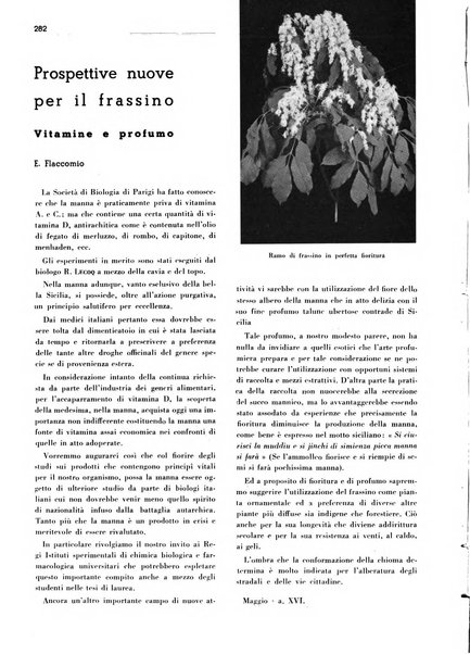 Rivista italiana delle essenze, dei profumi e delle piante officinali organo di propaganda del gruppo produttori materie aromatiche della Federazione nazionale fascista industrie chimiche ed affini