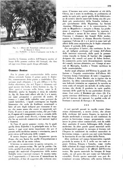 Rivista italiana delle essenze, dei profumi e delle piante officinali organo di propaganda del gruppo produttori materie aromatiche della Federazione nazionale fascista industrie chimiche ed affini