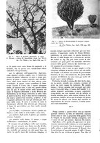 giornale/TO00204604/1938/unico/00000424