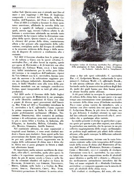 Rivista italiana delle essenze, dei profumi e delle piante officinali organo di propaganda del gruppo produttori materie aromatiche della Federazione nazionale fascista industrie chimiche ed affini