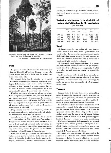 Rivista italiana delle essenze, dei profumi e delle piante officinali organo di propaganda del gruppo produttori materie aromatiche della Federazione nazionale fascista industrie chimiche ed affini