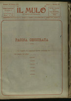 giornale/TO00205532/1916/43