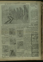 giornale/TO00205532/1916/49/3