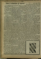 giornale/TO00205532/1917/12/4