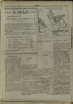 giornale/TO00205532/1917/49/2