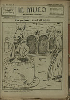 giornale/TO00205532/1918/35/1