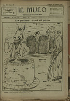 giornale/TO00205532/1918/35