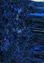 giornale/TO00205689/1817-1818/unico