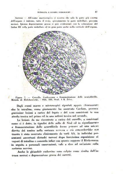 Lavoro umano rivista mensile di fisiologia, patologia e clinica del lavoro