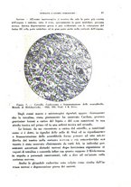 giornale/TO00205852/1943/unico/00000147