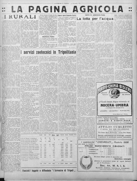 L'avvenire di Tripoli : quotidiano della Federazione fascista della tripolitania