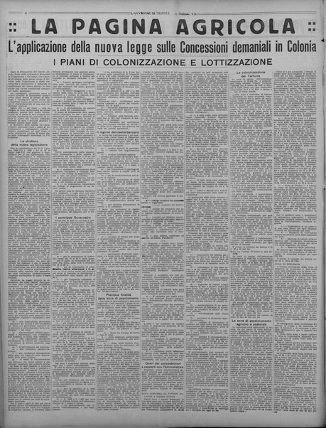 L'avvenire di Tripoli : quotidiano della Federazione fascista della tripolitania